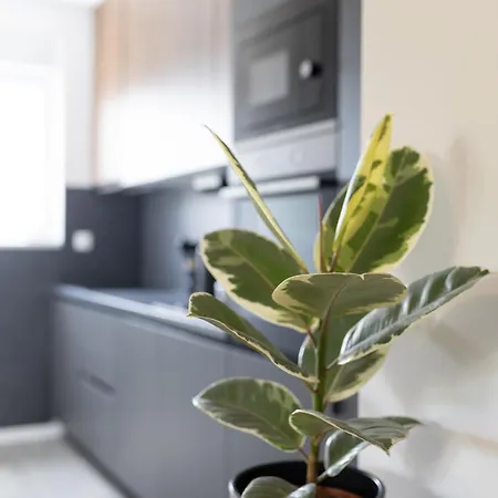 Apartment Kate Your Cozy Oasis With Private Parking And Balkony *